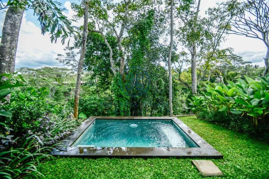 10 bedrooms hotel retreat hillside sunset ubud for sale rent 51