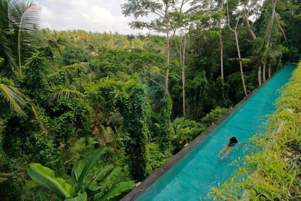 19 bedrooms hotel retreat hillside sunset ubud for sale rent 20