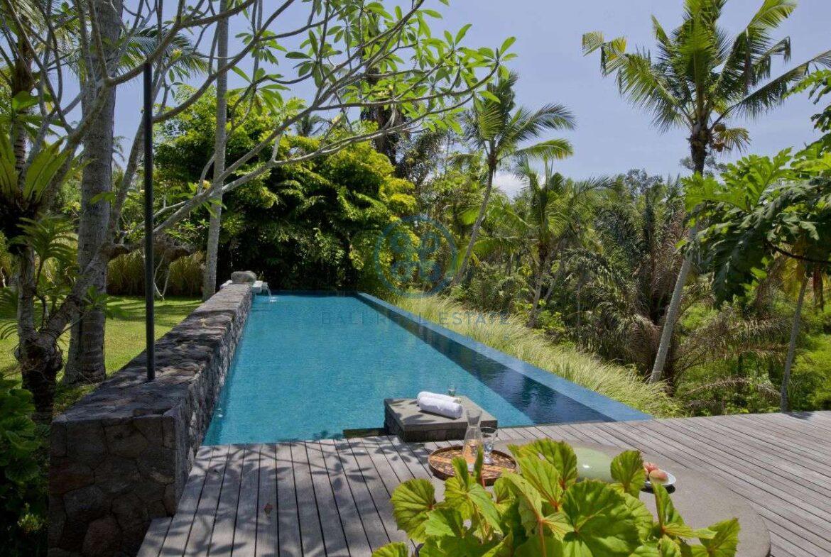 2 bedrooms villa estate river view ubud for sale rent 27