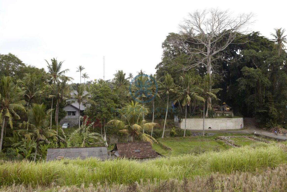 2 bedrooms villa estate river view ubud for sale rent 29