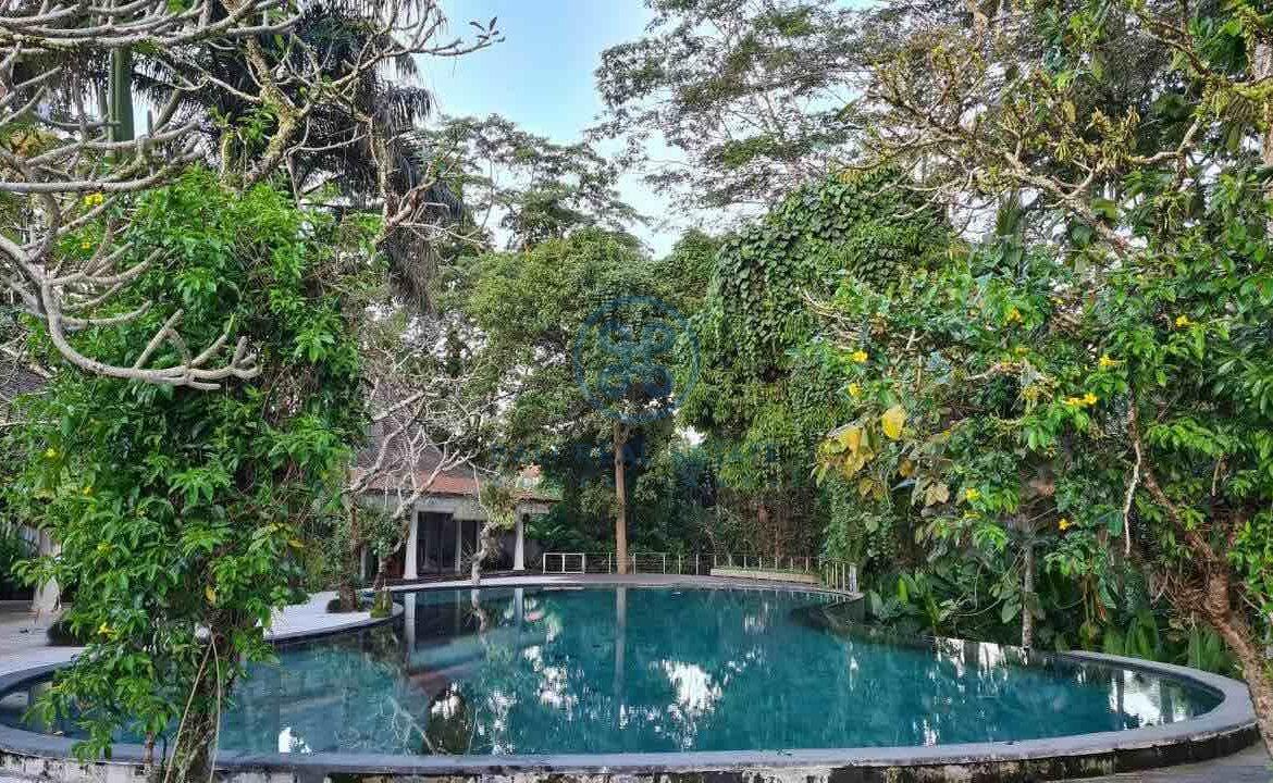 26 bedrooms modern villa investment ubud for sale rent 10