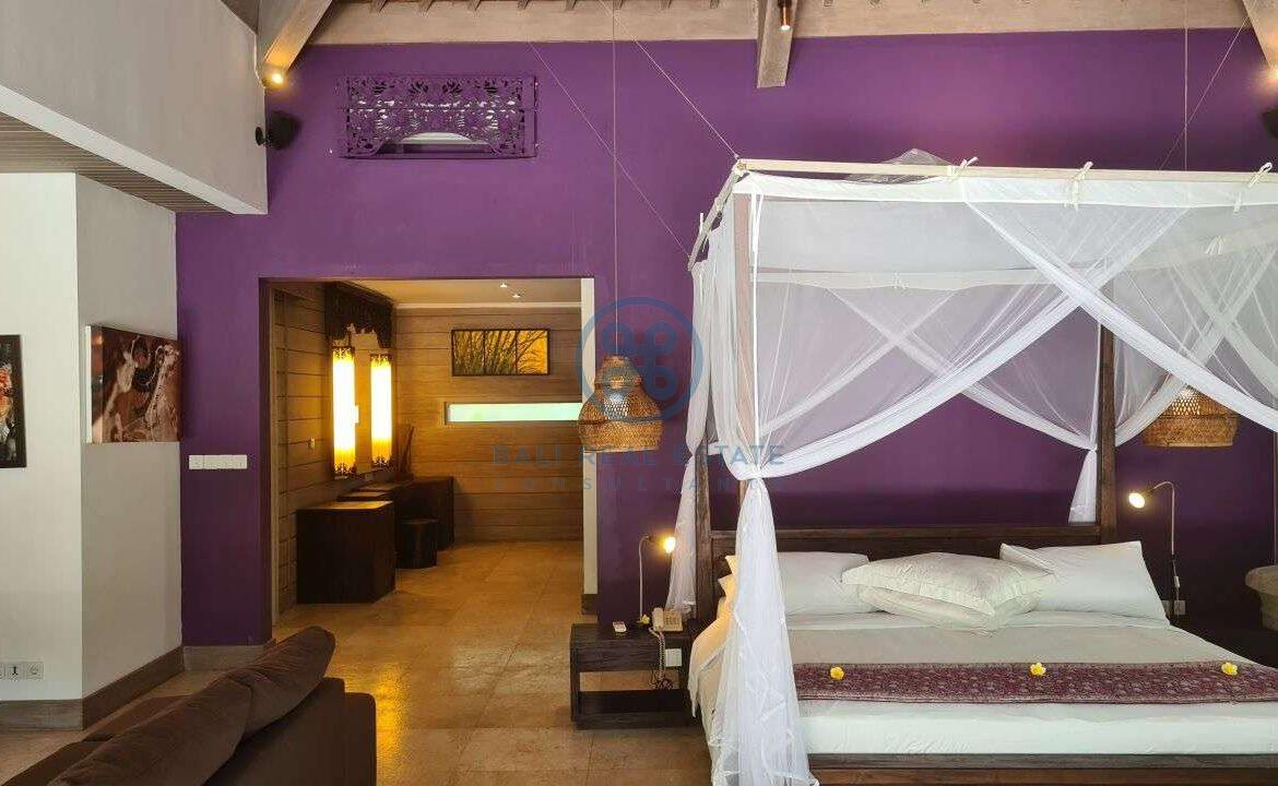 26 bedrooms modern villa investment ubud for sale rent 13