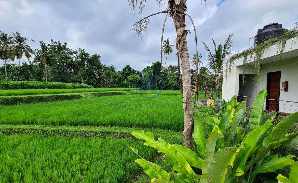 26 bedrooms modern villa investment ubud for sale rent 28