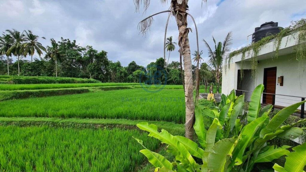 26 bedrooms modern villa investment ubud for sale rent 28