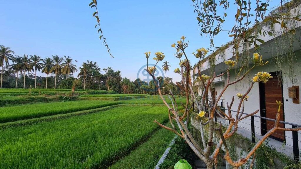 26 bedrooms modern villa investment ubud for sale rent 29