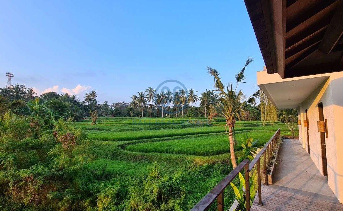 26 bedrooms modern villa investment ubud for sale rent 30