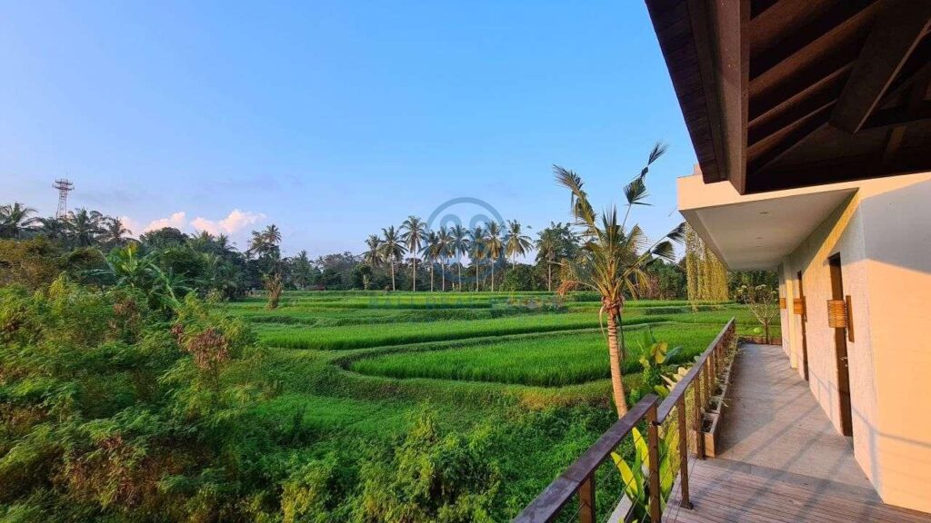 26 bedrooms modern villa investment ubud for sale rent 30