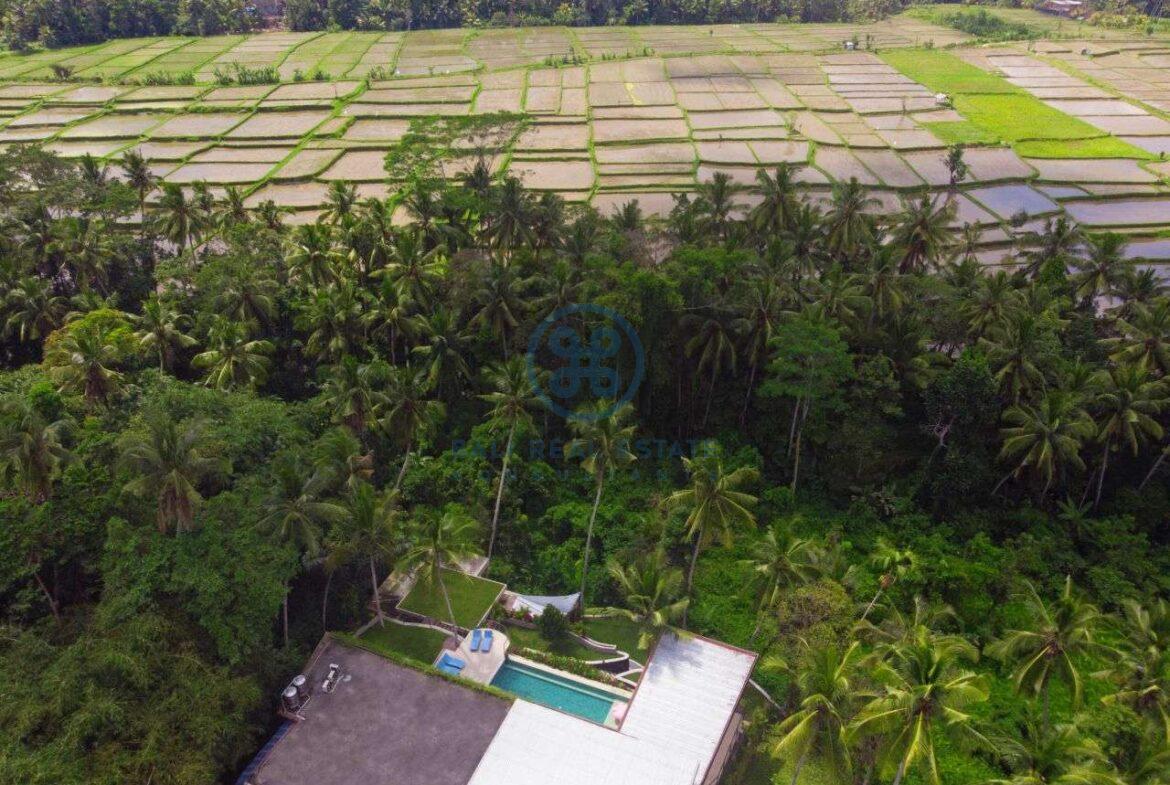 4 bedrooms villa with professional music studio ubud for sale rent 23