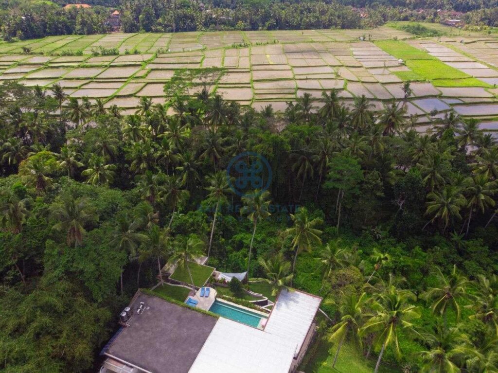 4 bedrooms villa with professional music studio ubud for sale rent 23