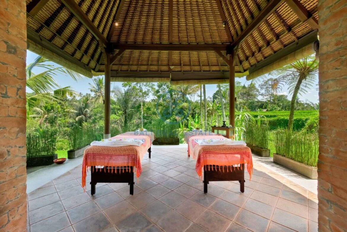 7 bedrooms villa estate jungle valley view ubud for sale rent 18