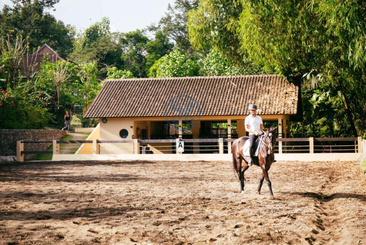 7 bedrooms villa estate with stable jungle ricefield view tabanan for sale rent 14