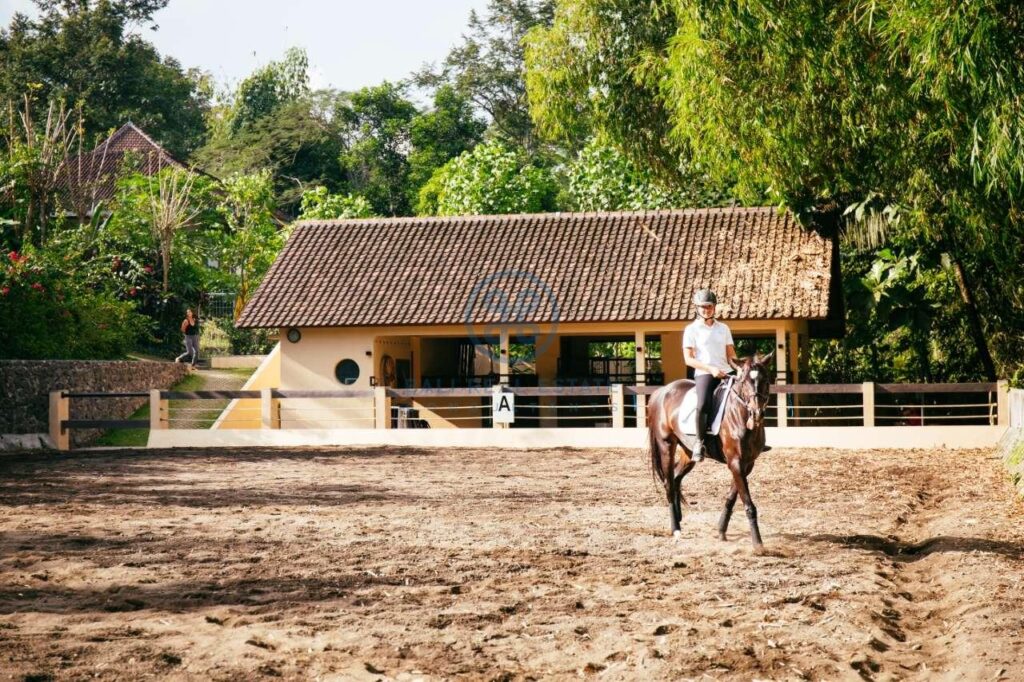 7 bedrooms villa estate with stable jungle ricefield view tabanan for sale rent 14