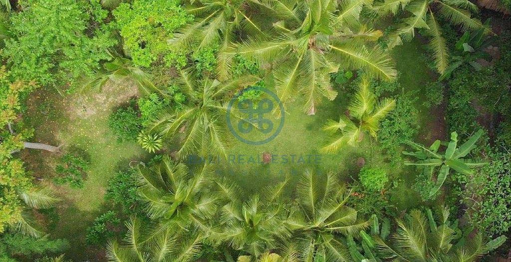 outstanding development opportunity leasehold land bali ubud for sale rent 1 1