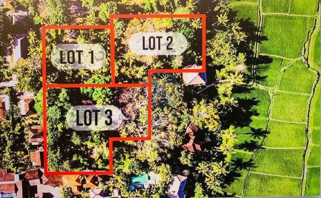 outstanding development opportunity leasehold land bali ubud for sale rent 6 1