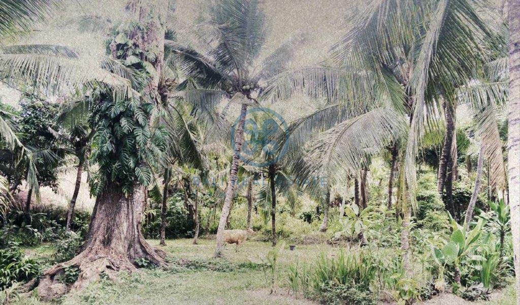 outstanding development opportunity leasehold land bali ubud for sale rent 8 1