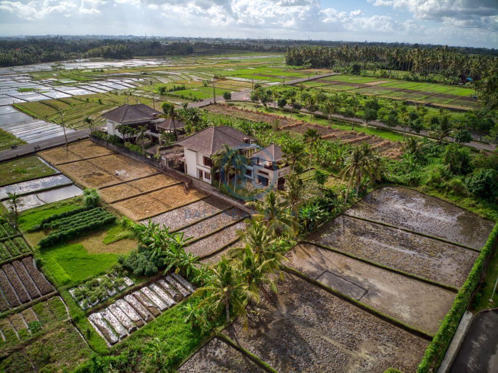 bedrooms villa ricefield view tabanan for sale rent