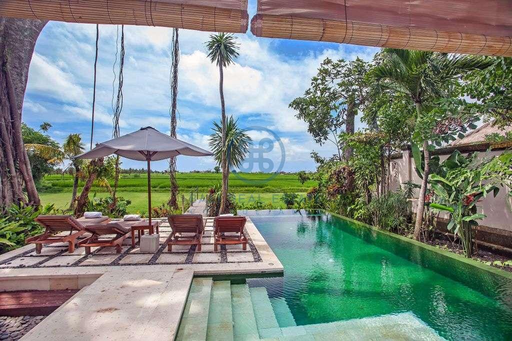 Villas bedroom boutique hotel in canggu for sale