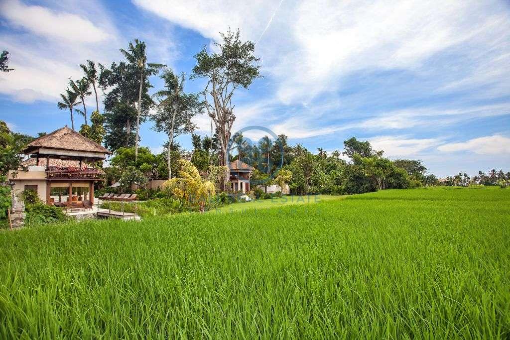 Villas bedroom boutique hotel in canggu for sale