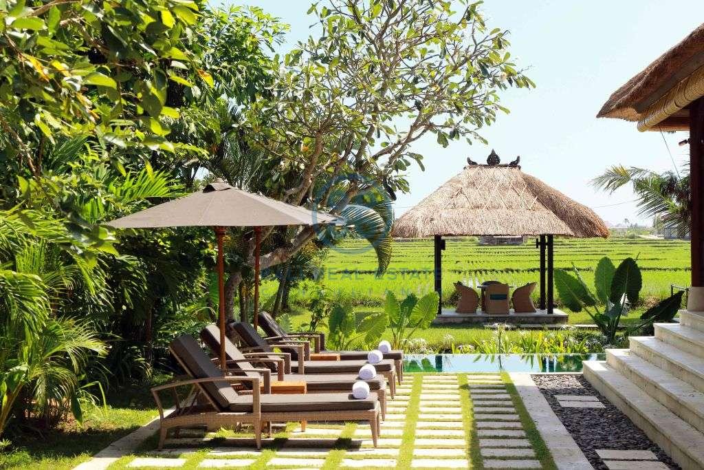 Villas bedroom boutique hotel in canggu for sale