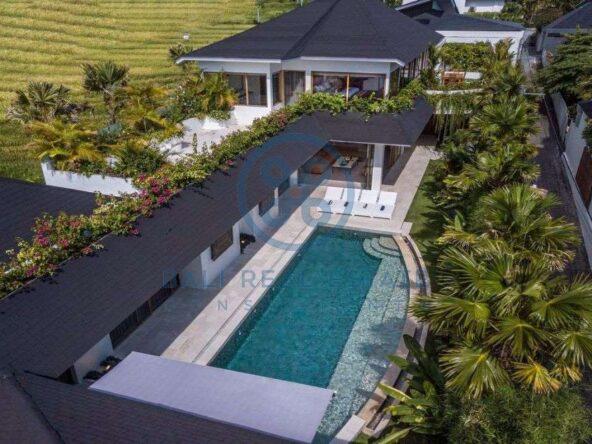 bedrooms villa in gated community canggu for sale rent