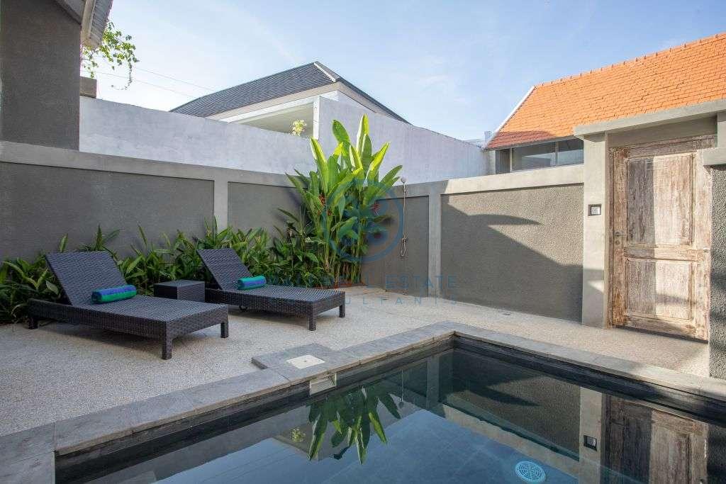 bedroom studio canggu for sale rent