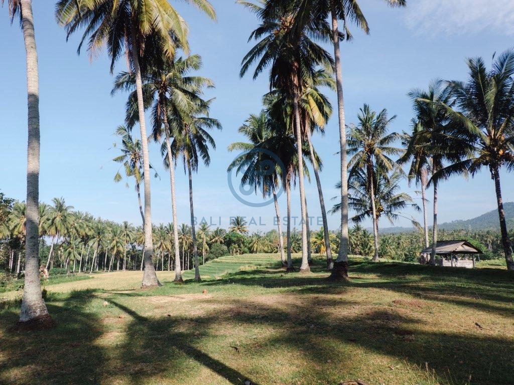 beach front land for sale in balian