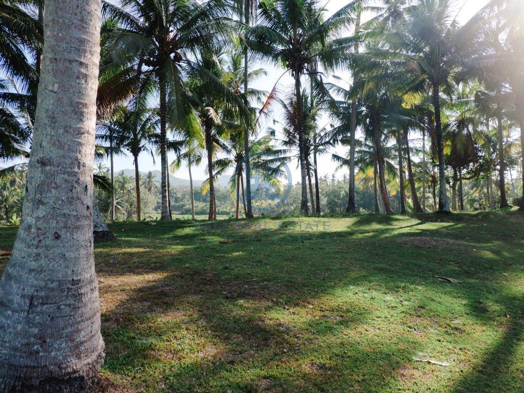 beach front land for sale in balian