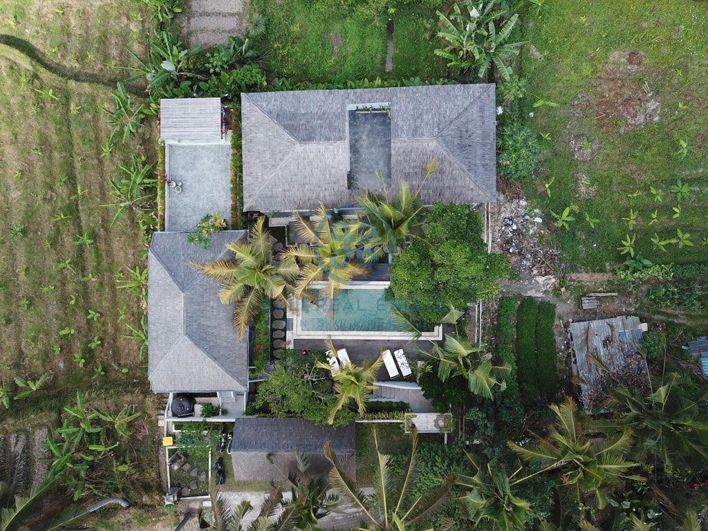 bedroom garden pool view ubud for sale rent