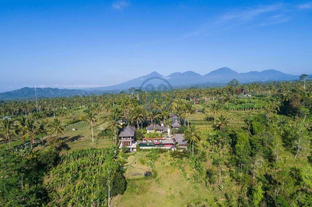 bedroom estate in ubud for sale