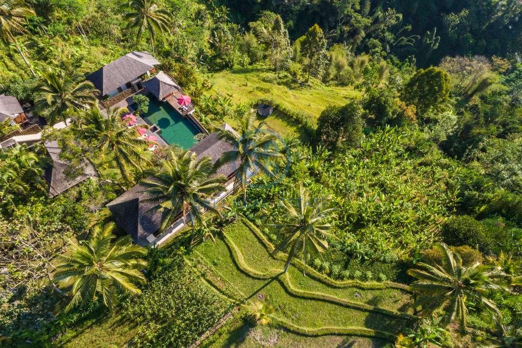 bedroom estate in ubud for sale