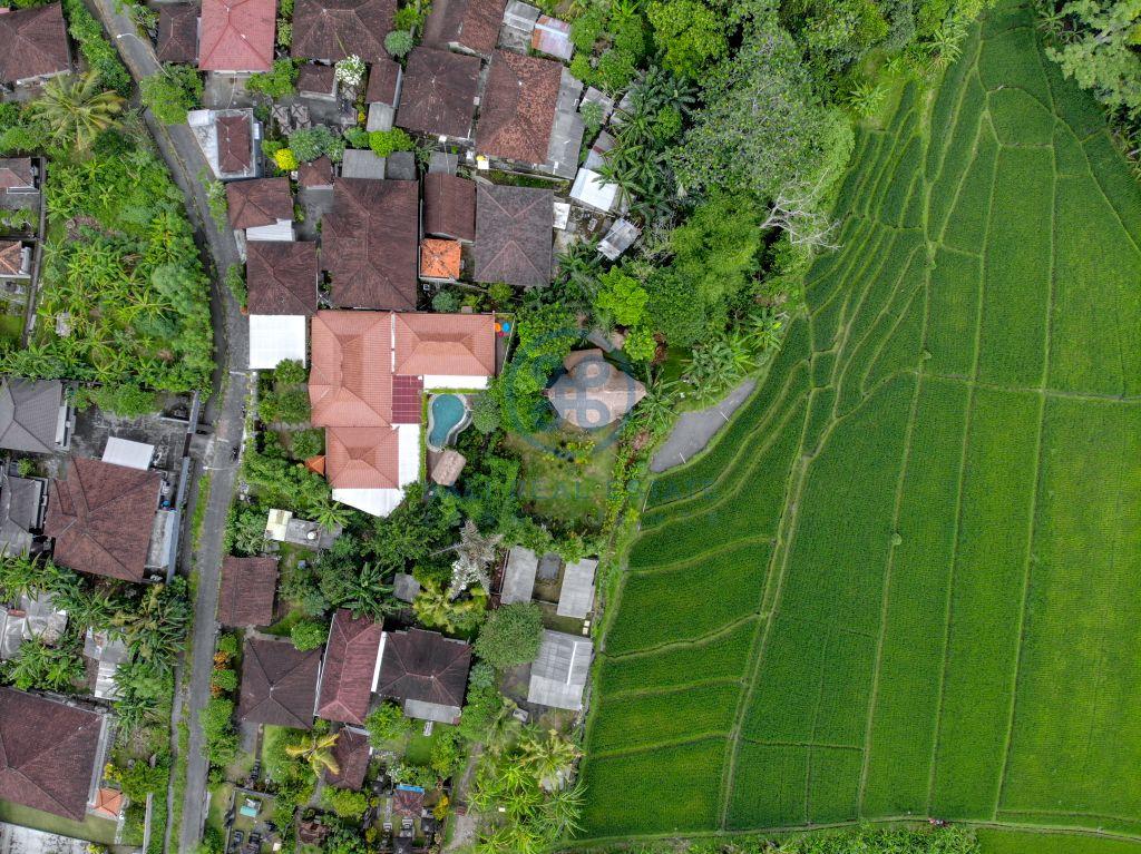 bedroom villa rice field view canggu tumbak bayuh for sale rent