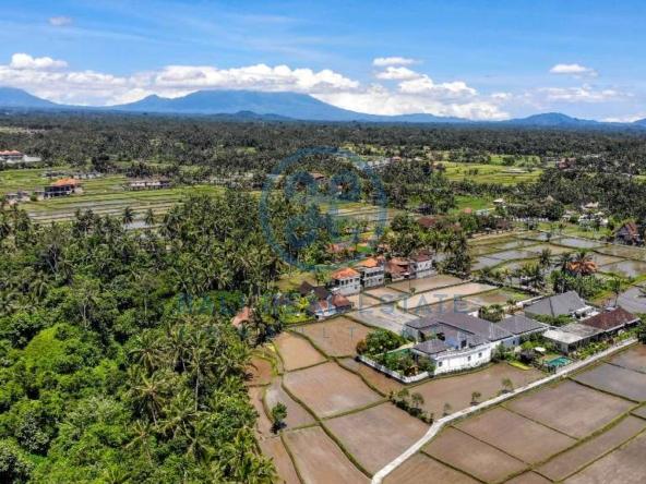 bedroom villa in ubud for sale and rent