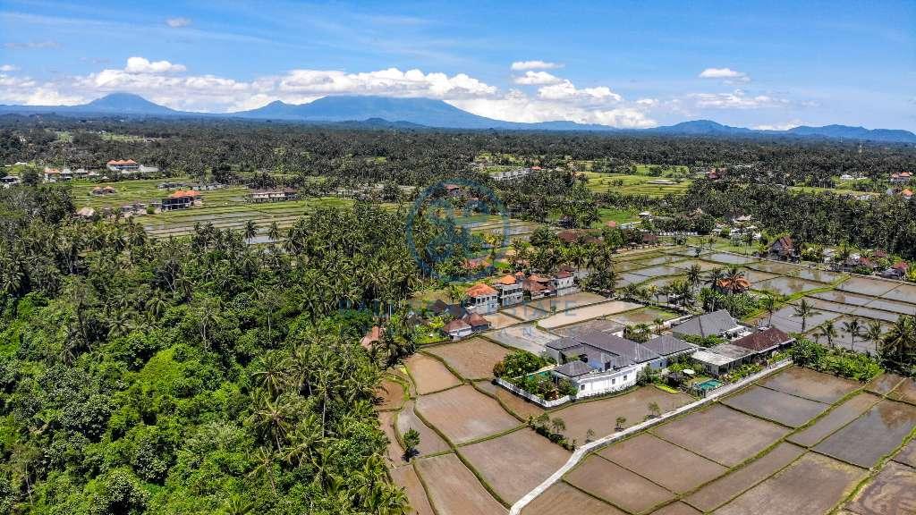 bedroom villa in ubud for sale and rent