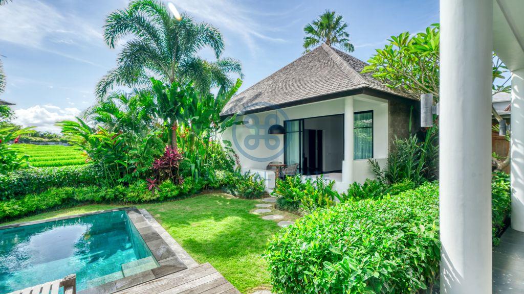 bedroom villa rice field view canggu pererenan for sale rent