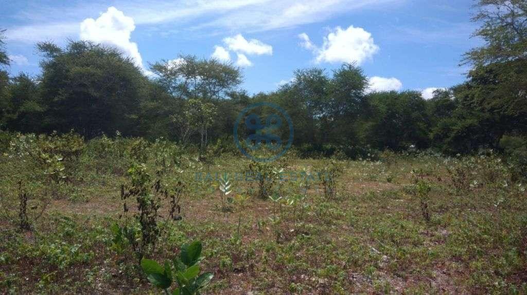 land in selong belanak for sale rent