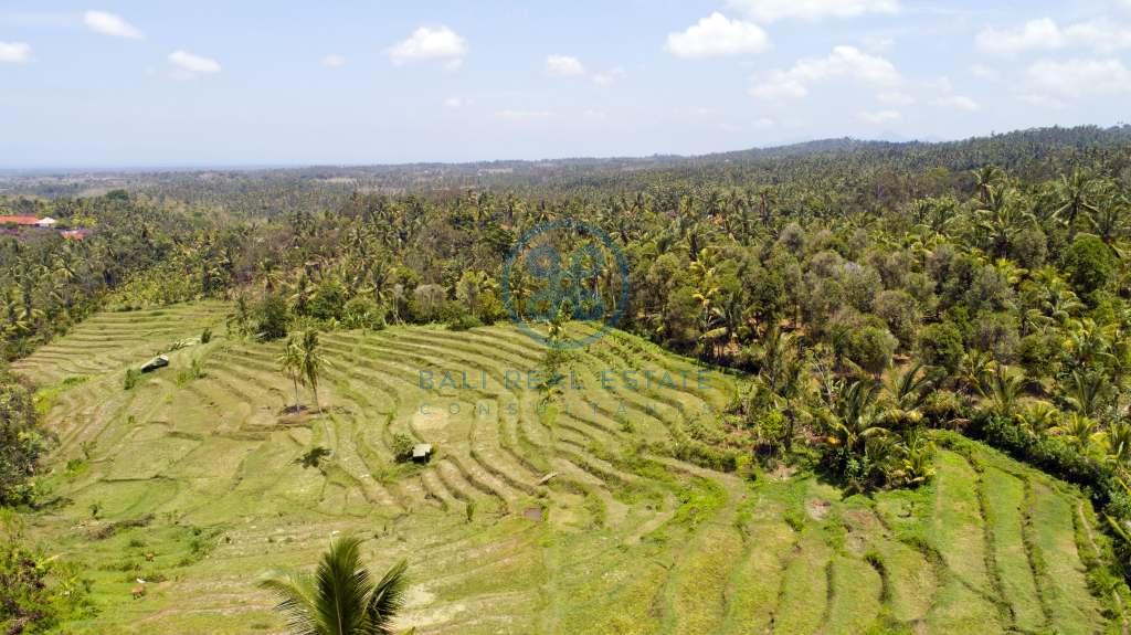 are land rice field view negara for sale rent