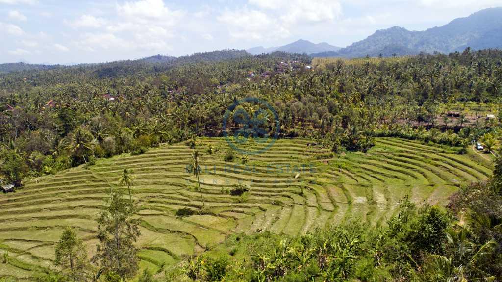 are land rice field view negara for sale rent