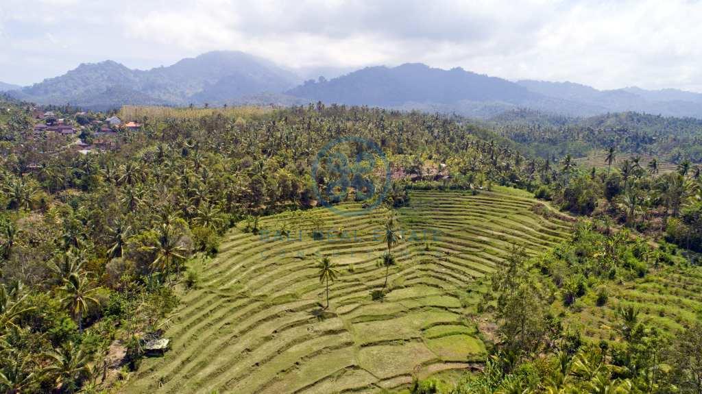 are land rice field view negara for sale rent