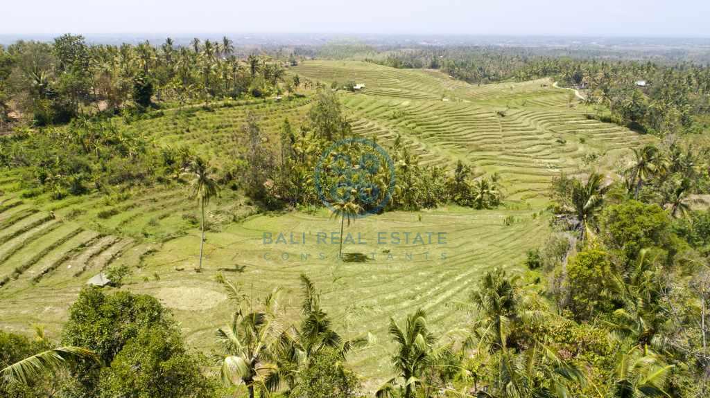 are land rice field view negara for sale rent