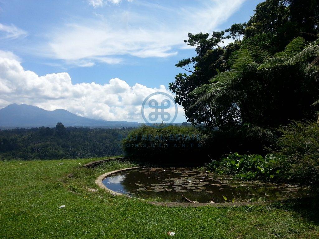 ha land in ubud for sale