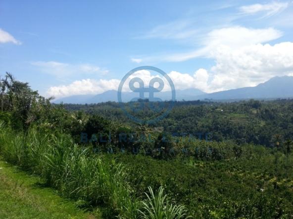 ha land in ubud for sale