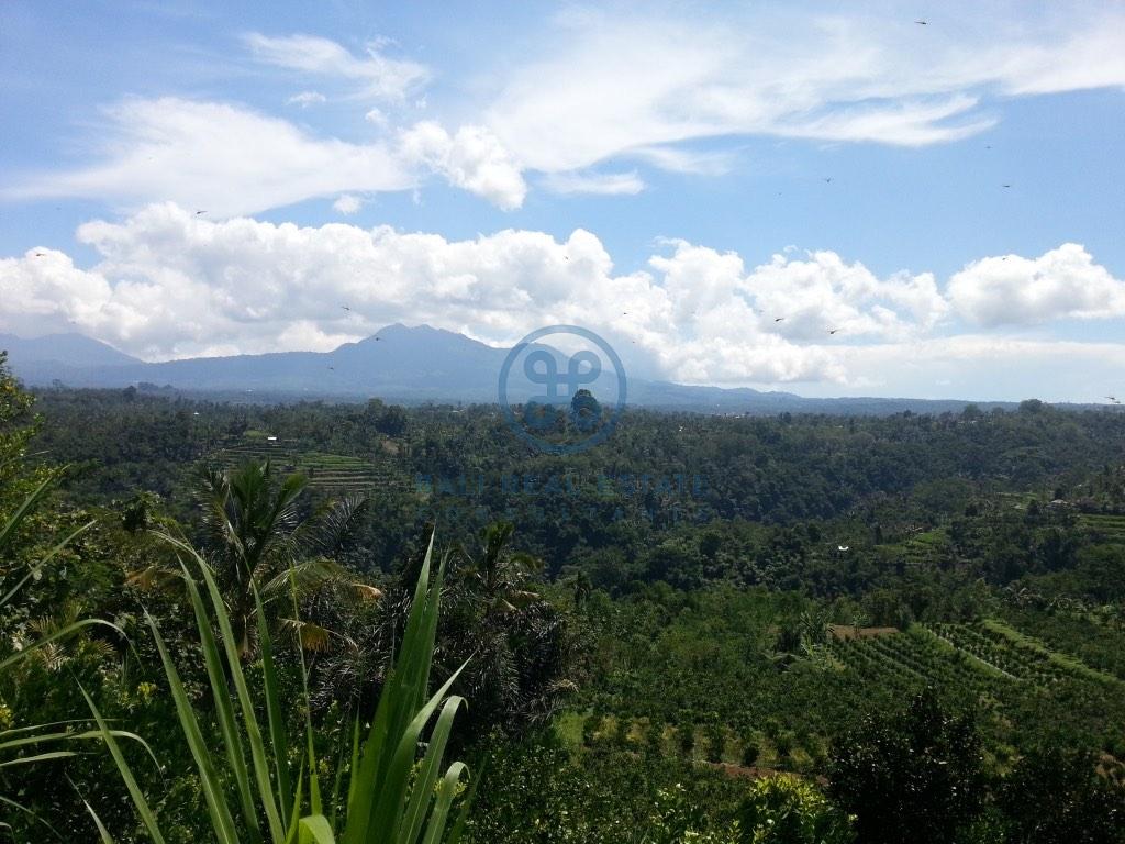 ha land in ubud for sale