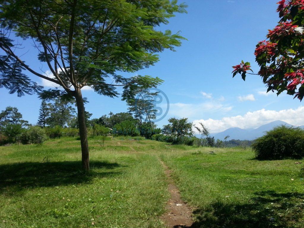 ha land in ubud for sale