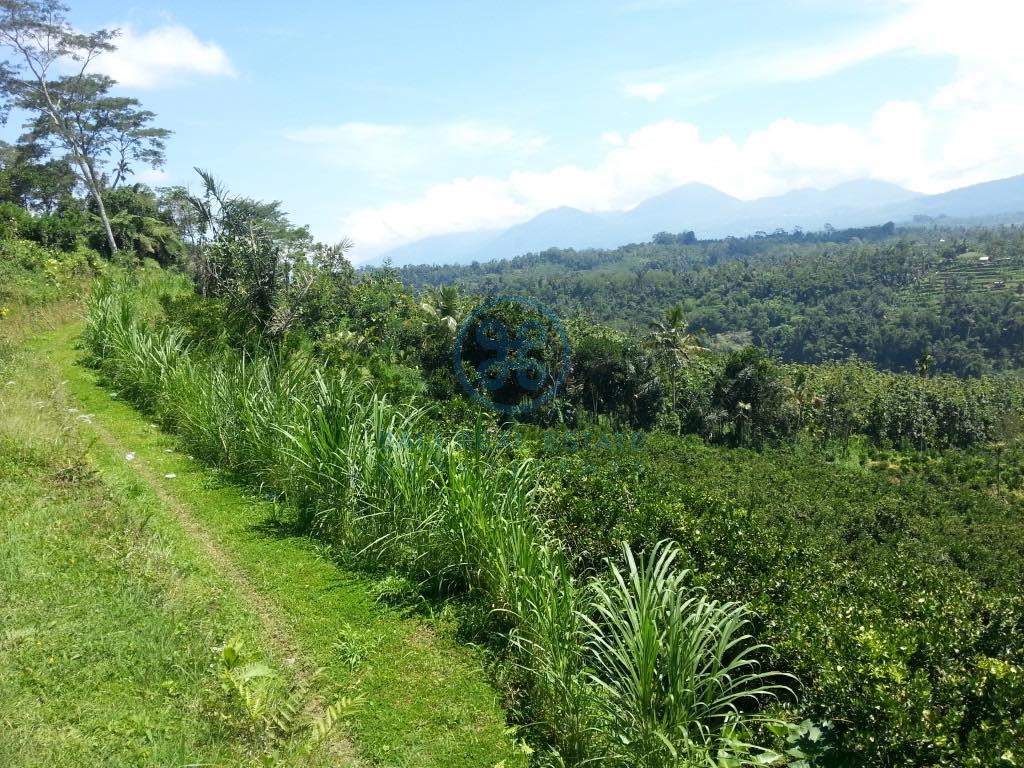 ha land in ubud for sale