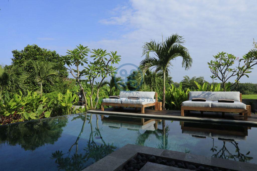 bali dream villa with jungle river view near seseh beach for sale rent