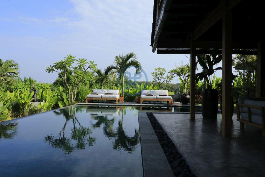 bali dream villa with jungle river view near seseh beach for sale rent