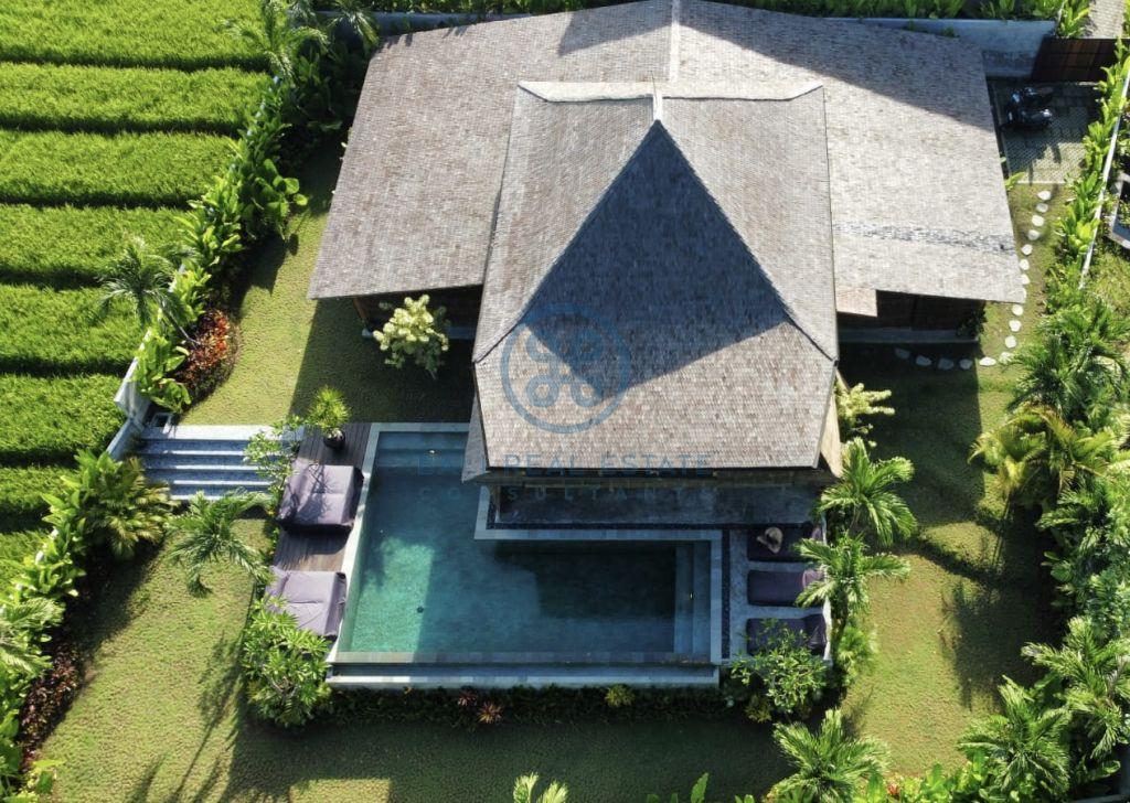 bali dream villa with jungle river view near seseh beach for sale rent