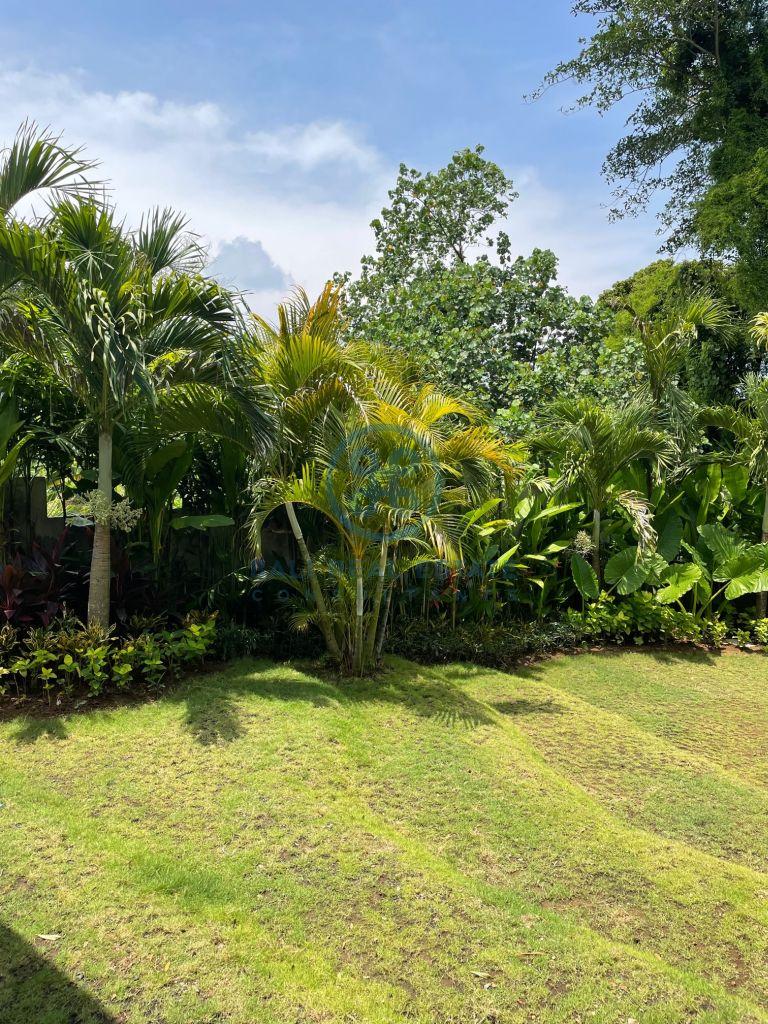 bali dream villa with jungle river view near seseh beach for sale rent