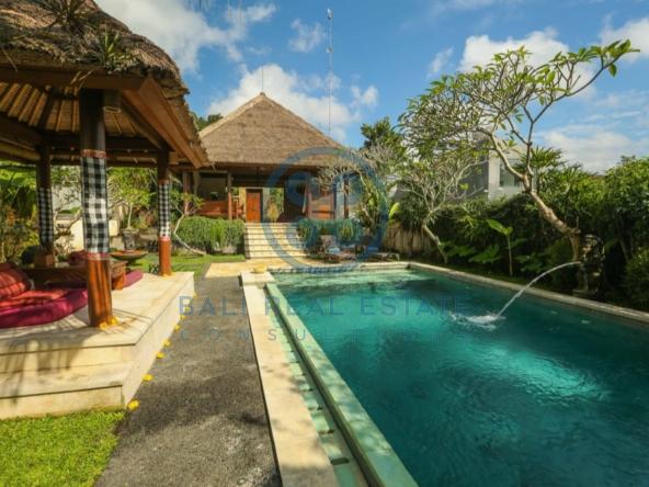 bedroom villa in ubud for sale