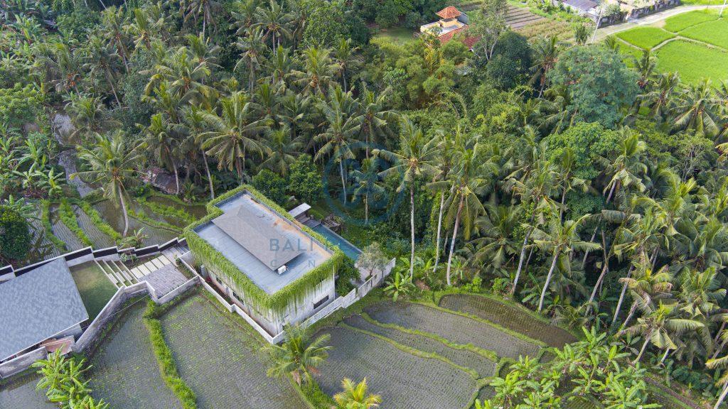 bedroom villa river front jungle view ubud bali for sale rent